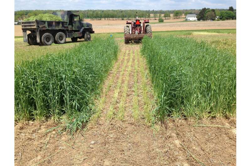 Manure application changes with winter crop can cut nitrogen loss, boost profits
