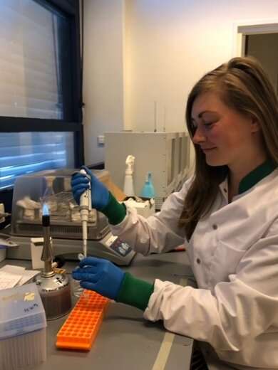 A unique defence: Bacteria lose cell wall in the presence of virus