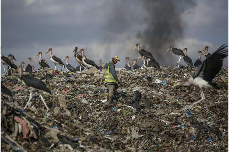 African migratory birds threatened by hot, dry weather