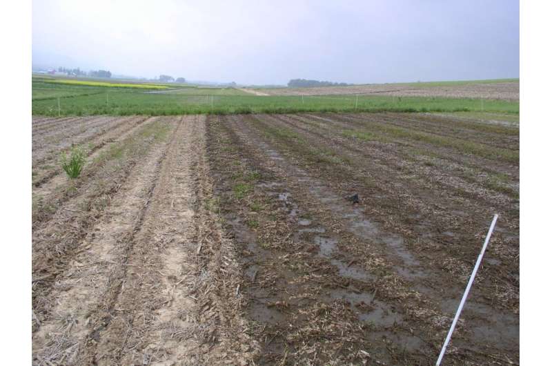 Dairy farmers can adapt to climate change