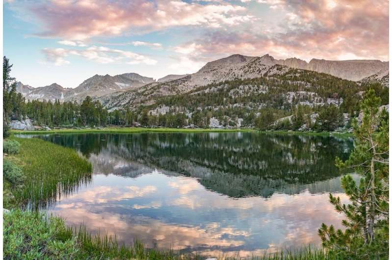 Drought and climate change shift tree disease in sierra nevada
