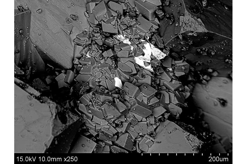 First evidence of life colonizing deep into the bedrock of Greenland