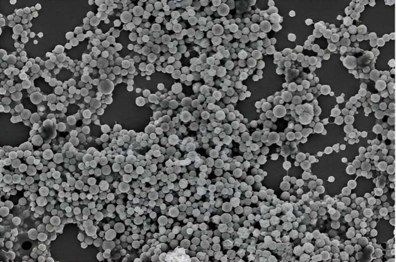 Nanoparticle-based remediation of chromium-contaminated water