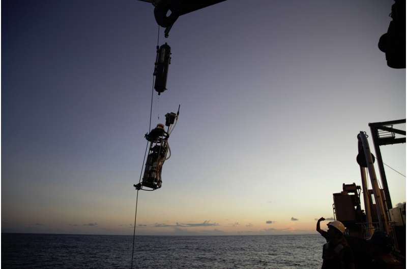 New study: Deep-sea discovery shines light on life in the twilight zone