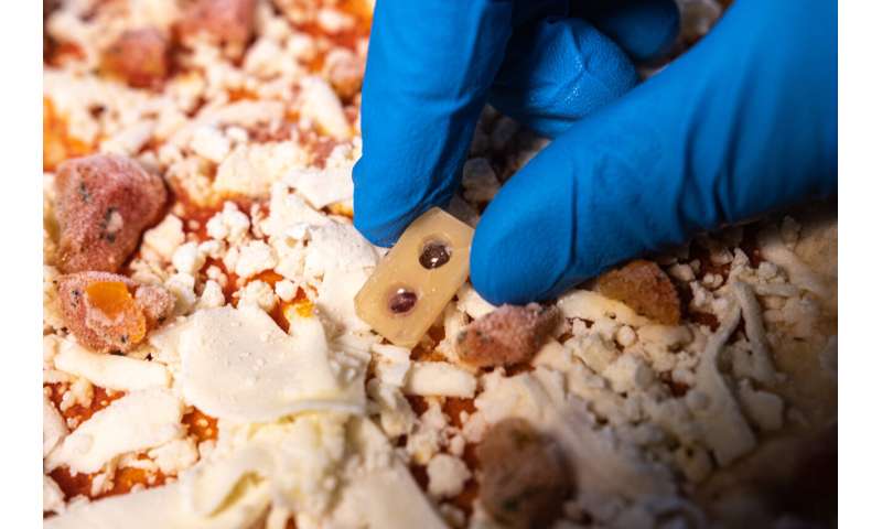 Self-powered edible defrosting sensor